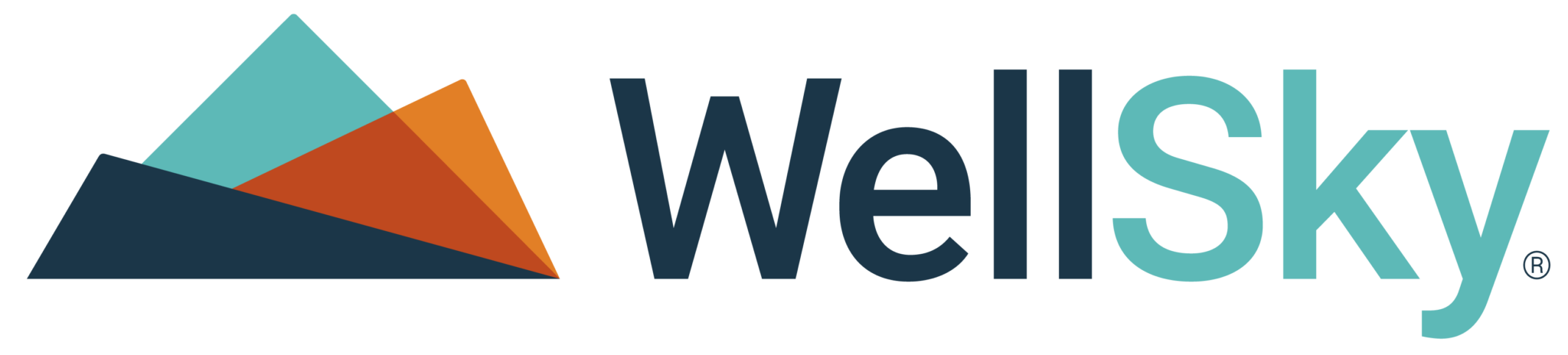 WellSky